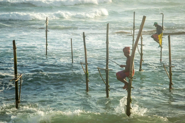 Traditional stilt fishermen at sunrise near Ahangama